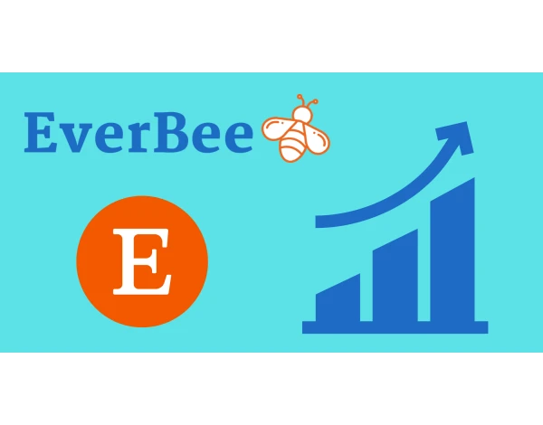 Image of: EverBee: Boost Your Etsy Sales with Data-Driven Insights